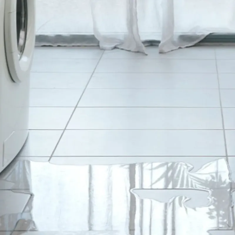Appliance Leak Cleanup in Hudson, IL