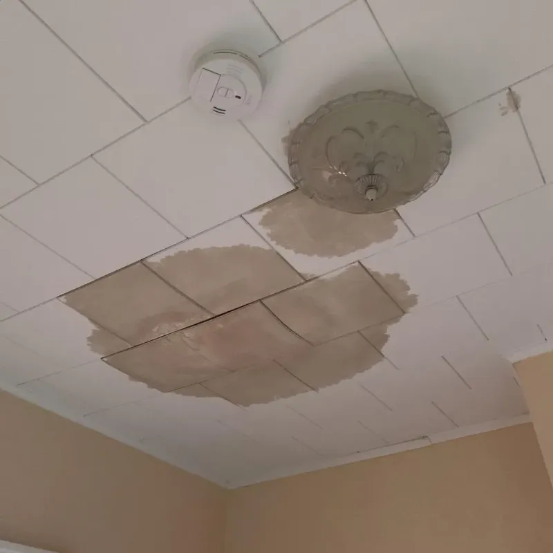 Ceiling Water Damage Repair in Hudson, IL