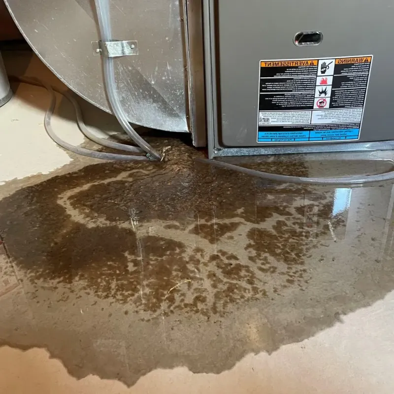 Pipe Burst and Leak Restoration in Hudson, IL