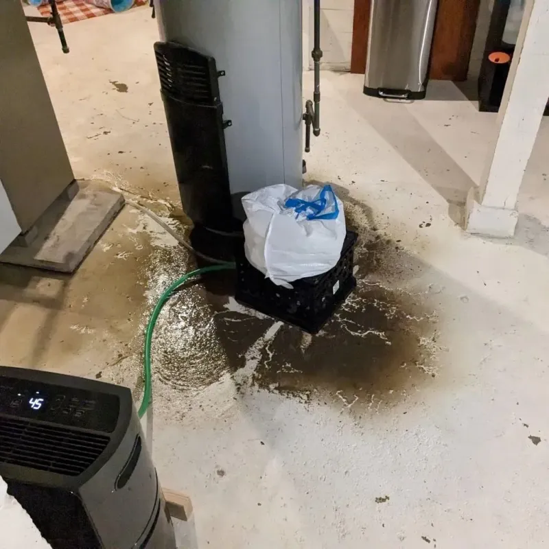 Sewage Backup Cleanup Service in Hudson, IL